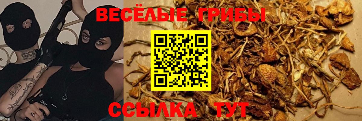 Псилоцибиновые грибы прущие грибы Скопин