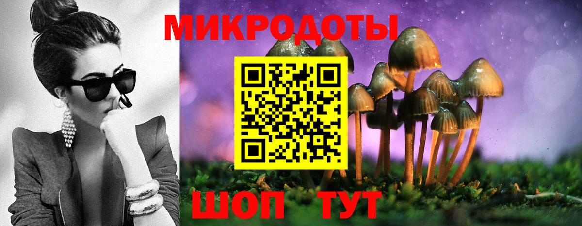 Галлюциногенные грибы прущие грибы  Вход с VPN  Скопин  Галлюциногенные грибы мицелий 